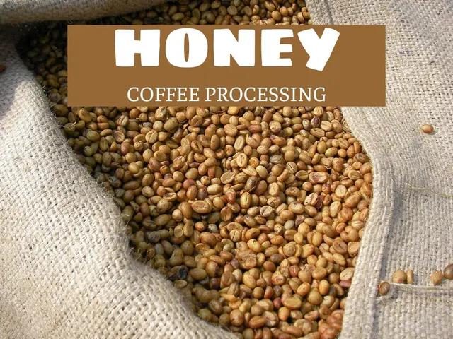 PHƯƠNG PHÁP SƠ CHẾ HONEY - DẤU ẤN MỚI CHO HƯƠNG VỊ CÀ PHÊ